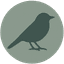 Avianture Time Logo
