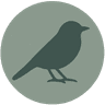 Avianture Time Logo